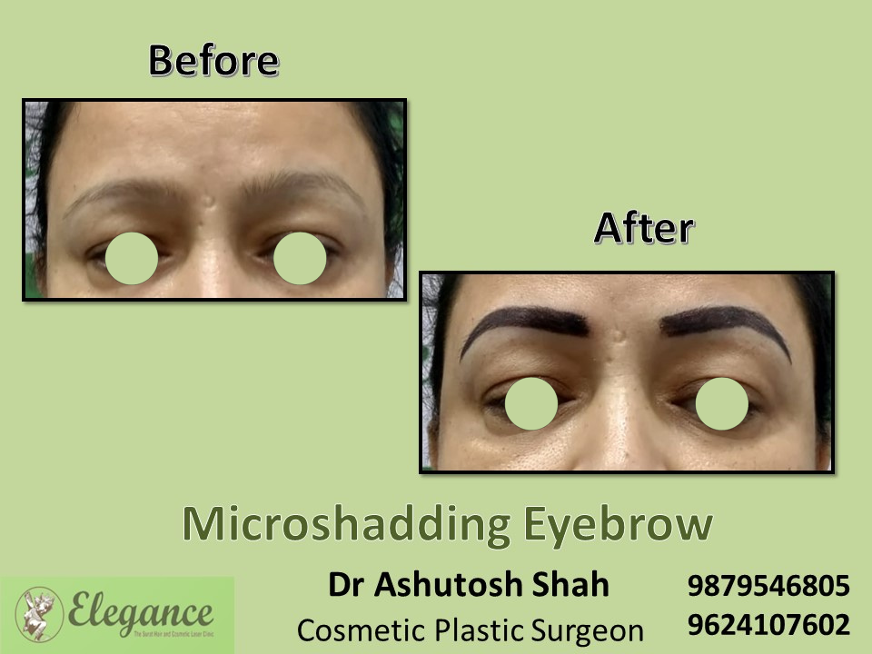 Microshading Brow